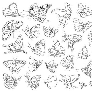 [그담에] 103-나비